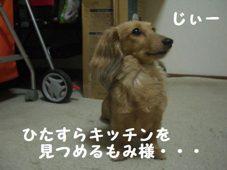 CIMG7488.JPG
