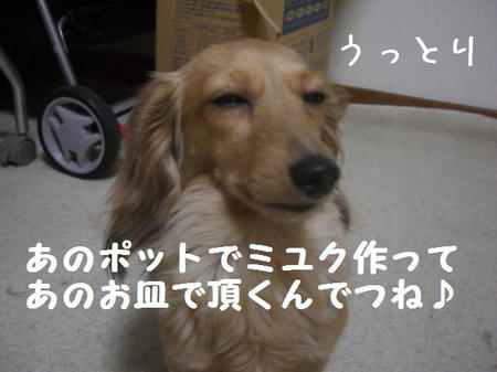 CIMG7489.JPG