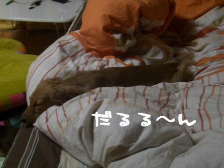 CIMG7696.JPG