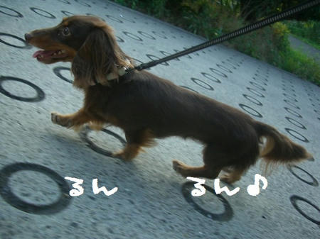CIMG7700.JPG