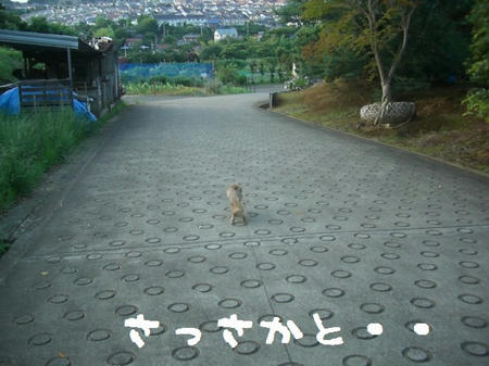CIMG7706.JPG