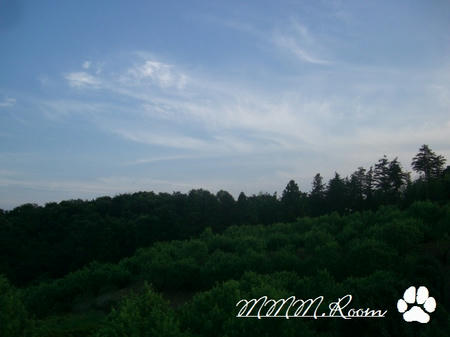 CIMG7704.JPG