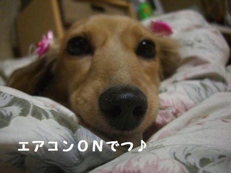 CIMG8002.JPG