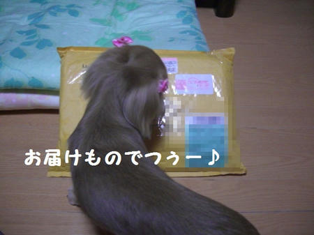 CIMG8006.JPG