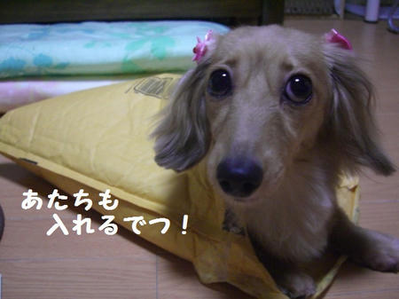 0d898798.JPG