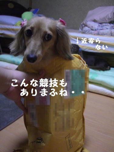 68296cb2.JPG