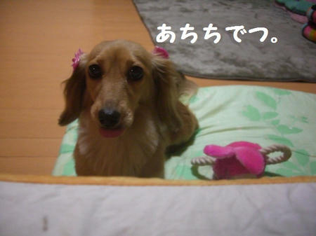 CIMG8083.JPG