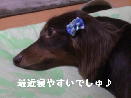 CIMG8084.JPG