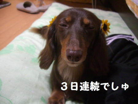 CIMG8209.JPG