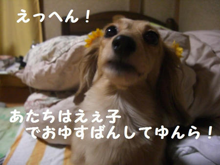 CIMG8210.JPG
