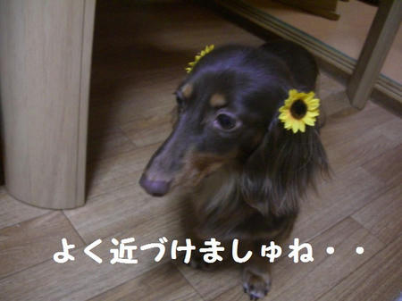 7f64e02c.JPG