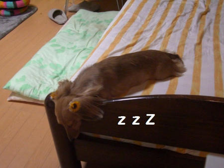 7d616eb0.JPG