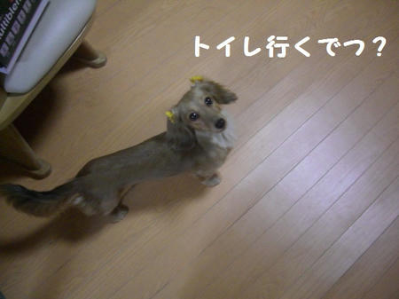 CIMG8608.JPG