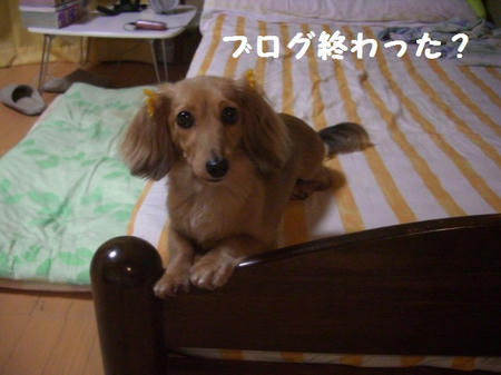 CIMG8609.JPG