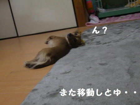 CIMG8692.JPG