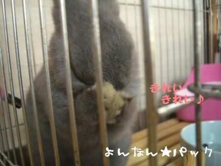 CIMG8851.JPG