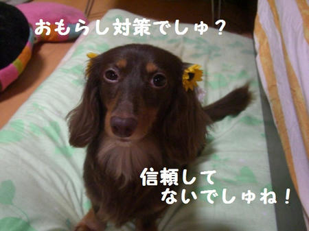 36401b91.JPG