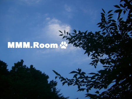 CIMG8999.JPG