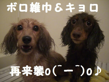 CIMG9002.JPG
