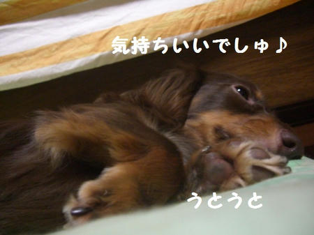 CIMG9090.JPG