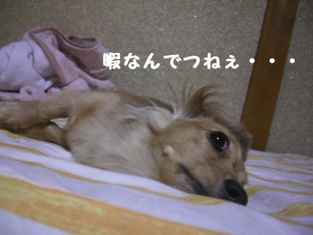 CIMG9091.JPG