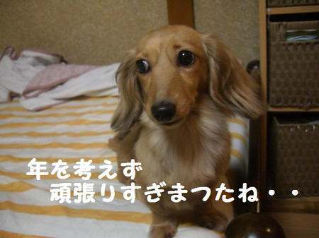 CIMG9173.JPG
