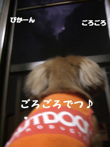 CIMG9267.JPG