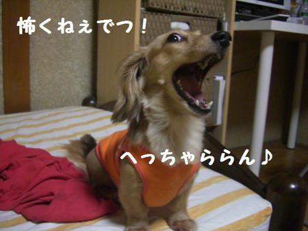 CIMG9268.JPG