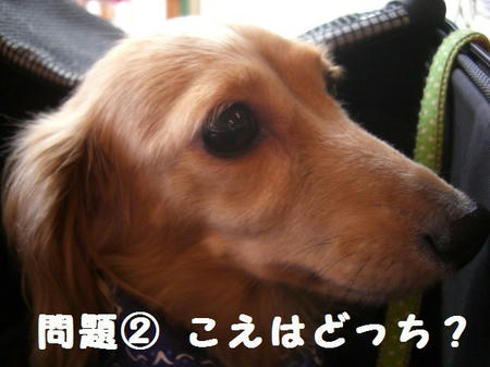 CIMG9629.JPG