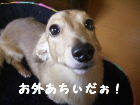 CIMG9799.JPG