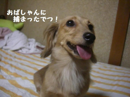 CIMG9809.JPG