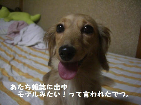 CIMG9810.JPG