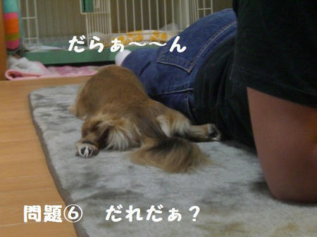 CIMG0002.JPG