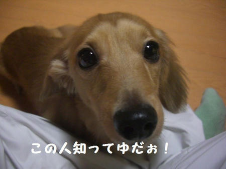 CIMG0003.JPG