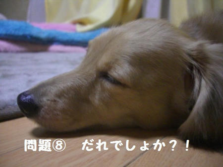 CIMG0005.JPG