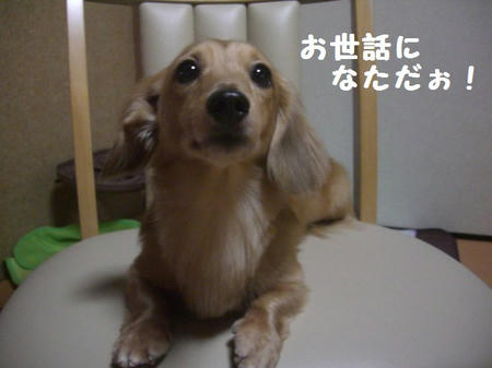 CIMG0006.JPG