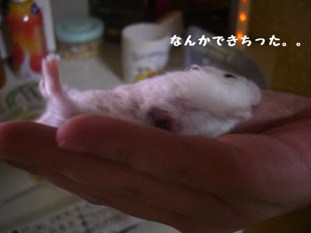 CIMG9992.JPG
