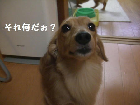 CIMG9993.JPG