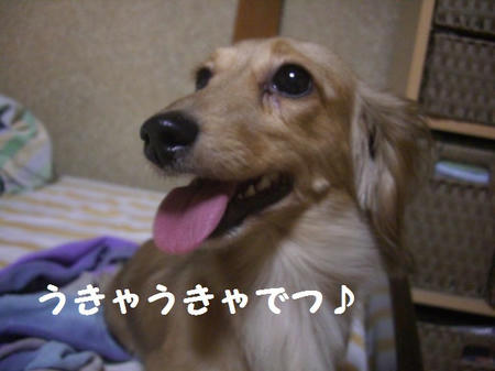 CIMG0072.JPG