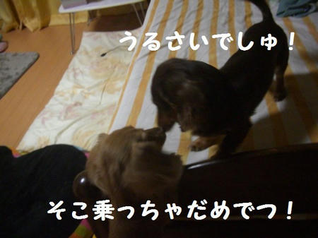 e74d136e.JPG