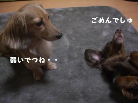 CIMG0078.JPG