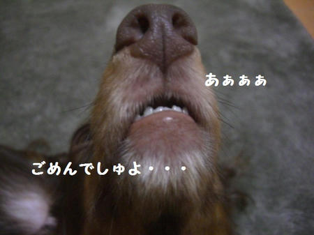 CIMG0079.JPG
