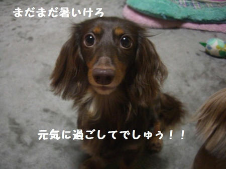CIMG0123.JPG