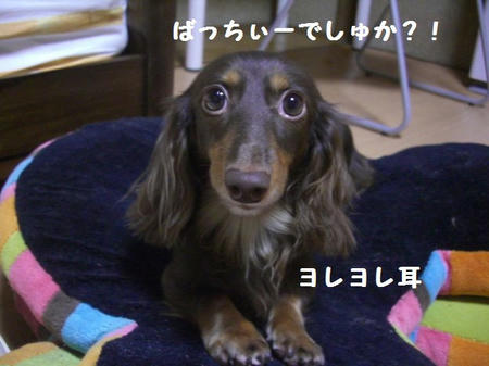 CIMG0216.JPG