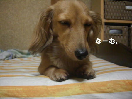 CIMG0218.JPG