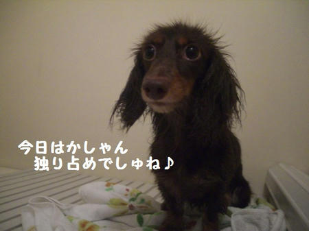 CIMG0223.JPG
