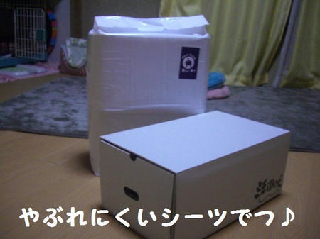 CIMG0262.JPG