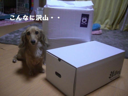 01a0fa22.JPG