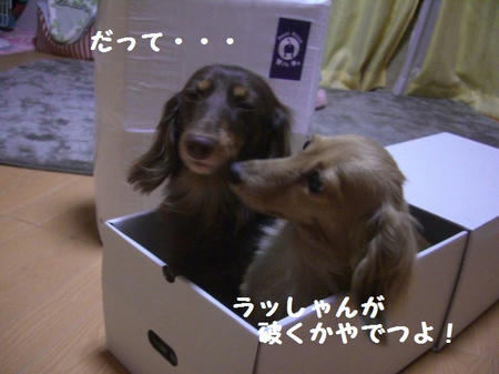 03a98548.JPG