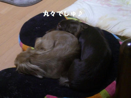 CIMG0329.JPG